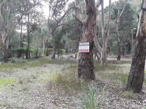 Terreno en Venta en La Lucila del Mar, Partido de La Costa