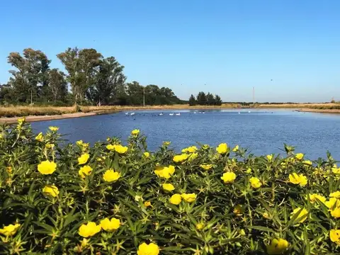 Terreno en Venta en Chacras de la Trinidad, Countries y Barrios Cerrados en Cañuelas