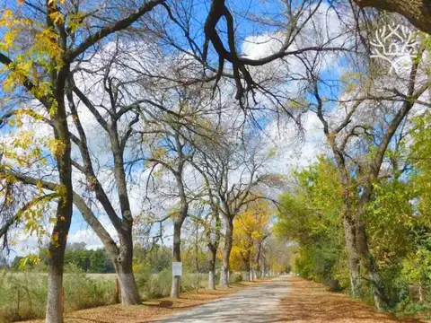 Terreno en Venta en El Remanso, Countries y Barrios Cerrados en Exaltacion de la Cruz