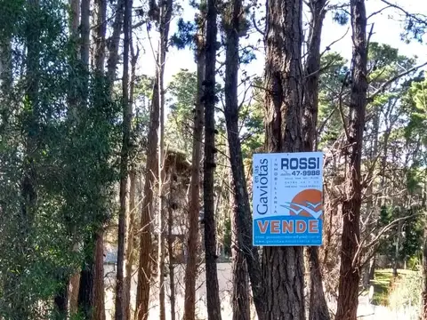 Terreno en Venta en Mar Azul, Partido de Villa Gesell