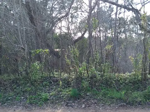 Terreno en Venta en Las Gaviotas, Mar Azul