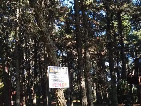Terreno en Venta en Alfalad, Partido de Daireaux