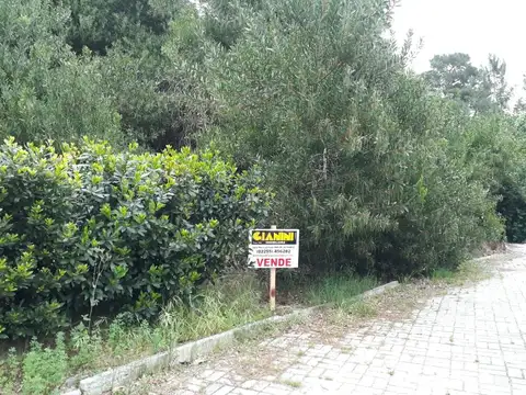 Terreno en Venta en Alfalad, Partido de Daireaux