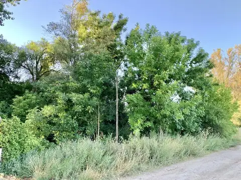 Terreno en Venta en Coronel Brandsen, Partido de Brandsen