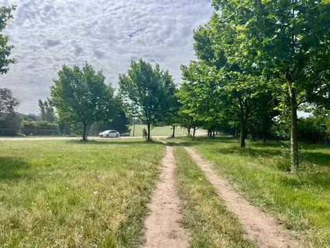 Terreno en Venta en La Ranita, Manzanares