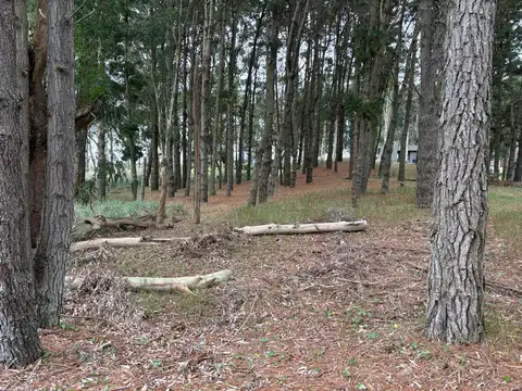 Terreno en Venta en Barrio Cerrado Costa Esmeralda, Countries y Barrios Cerrados en Pinamar