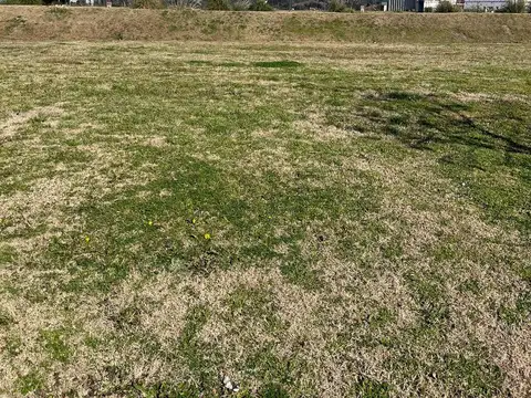 Terreno en Venta en El Naudir, Countries y Barrios Cerrados en Escobar