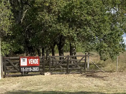 Terreno en Venta en La Luisa, Partido de Capitán Sarmiento