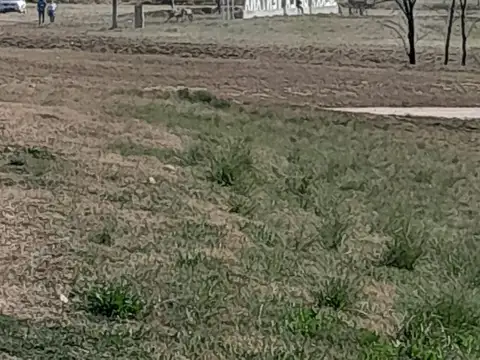 Terreno en Venta en Sierra de la Ventana, Partido de Tornquist