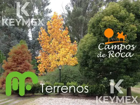 Terreno en Venta en Coronel Brandsen, Partido de Brandsen