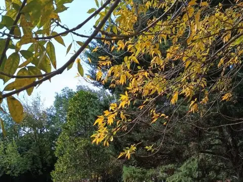 Terreno en Venta en Villa Rosa, Partido de Pilar