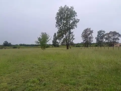 Terreno en Venta en Coronel Brandsen, Partido de Brandsen