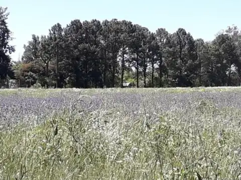 Terreno en Venta en Manzanares, Partido de Pilar