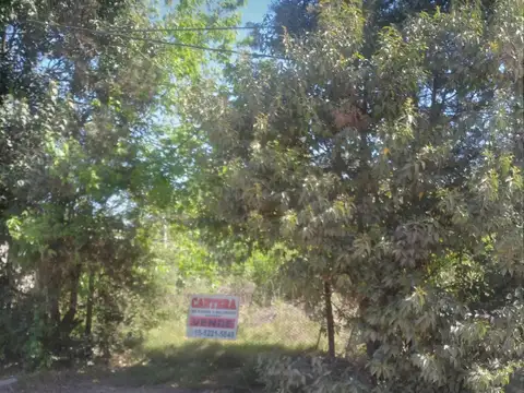 Terreno en Venta en Francisco Alvarez, Partido de Moreno