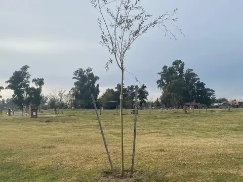 Terreno en Venta en San Pablo, Countries y Barrios Cerrados en Pilar