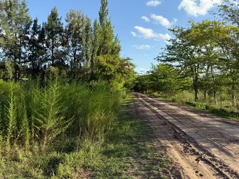 Terreno en Venta en Lobos, Partido de Lobos