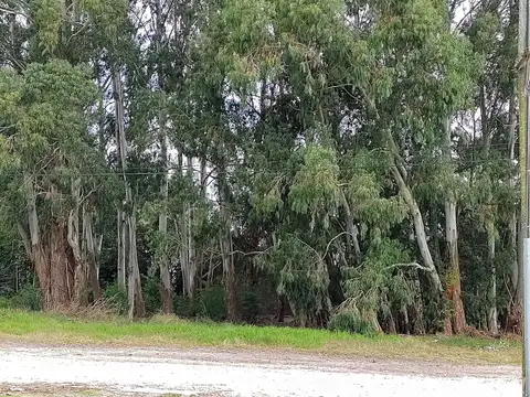 Terreno en Venta en Mar del Plata, Partido de General Pueyrredón