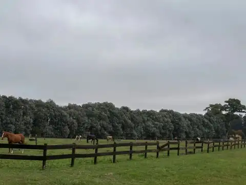 Terreno en Venta en Haras San Pablo, Countries y Barrios Cerrados en General Rodriguez