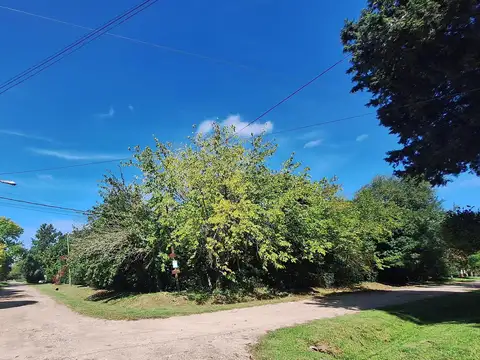 Terreno en Venta en Arturo Segui, Partido de La Plata