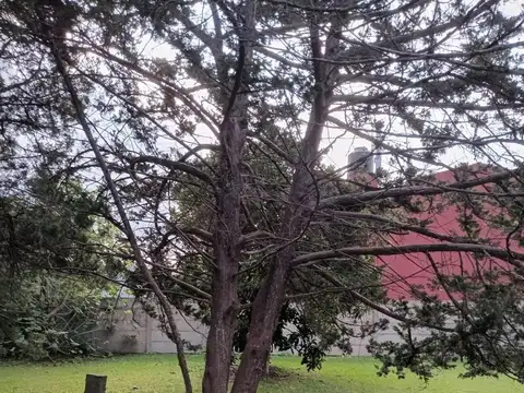Terreno en Venta en Lisandro Olmos Etcheverry, Partido de La Plata