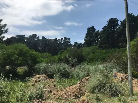 Terreno en Venta en Mar Azul, Partido de Villa Gesell