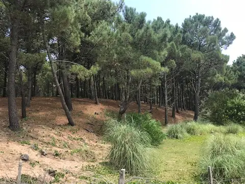 Terreno en Venta en Mar Azul, Partido de Villa Gesell