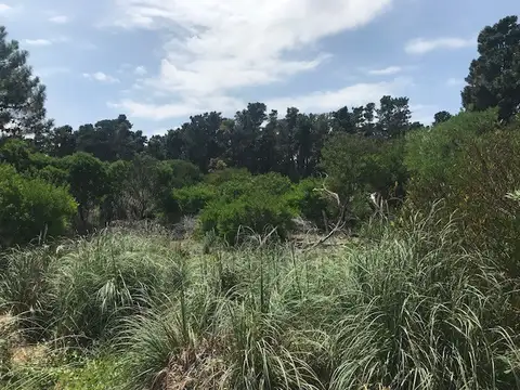 Terreno en Venta en Mar Azul, Partido de Villa Gesell