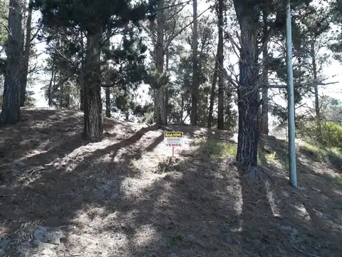 Terreno en Venta en Alfalad, Partido de Daireaux