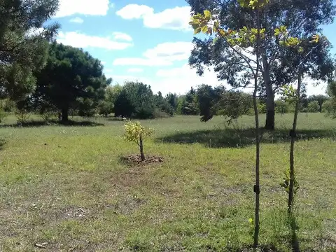 Terreno en Venta en San Bernardo del Tuyú, Partido de La Costa