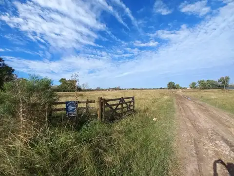 Terreno en Venta en Arroyo de la Cruz, Partido de Exaltación de la Cruz