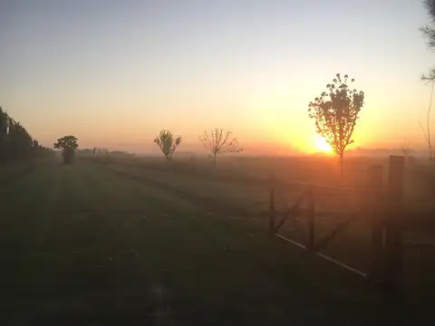 Terreno en Venta en Zapiola, Partido de Lobos