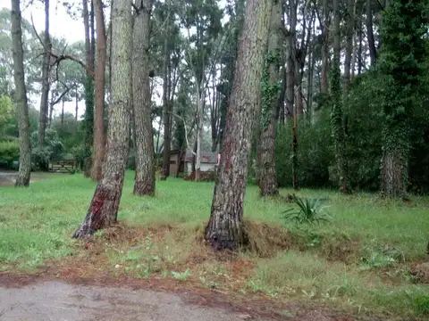 Terreno en Venta en Valeria del Mar, Partido de Pinamar