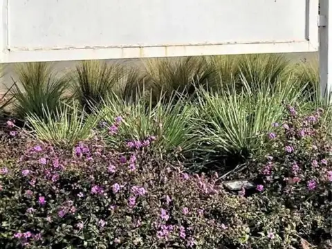 Terreno en Venta en Pilar Del Este, Countries y Barrios Cerrados en Pilar