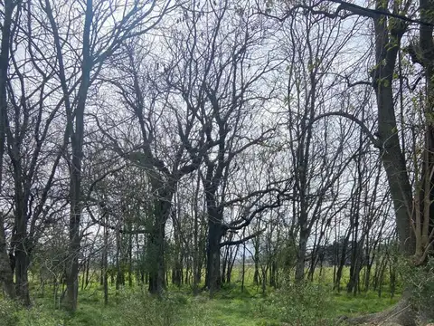 Terreno en Venta en Loma Verde, Partido de Escobar