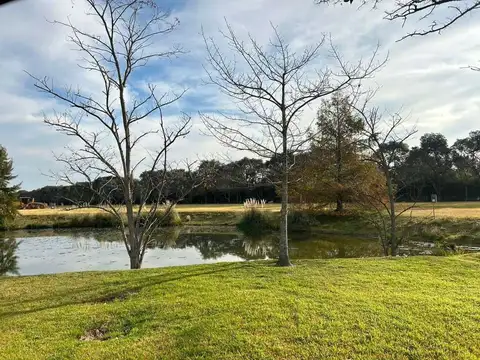 Terreno en Venta en Vicente Casares, Partido de Cañuelas