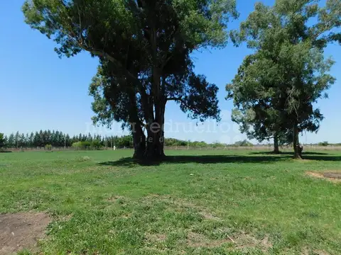 Terreno en Venta en Chascomus, Partido de Chascomús