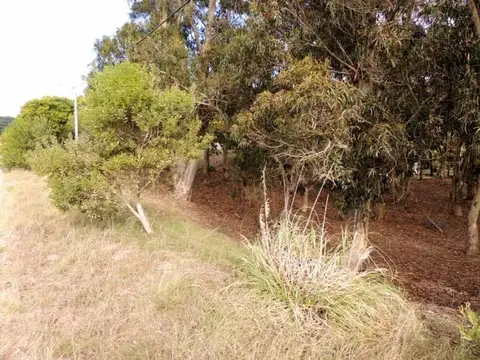 Terreno en Venta en Mar de las Pampas, Partido de Villa Gesell