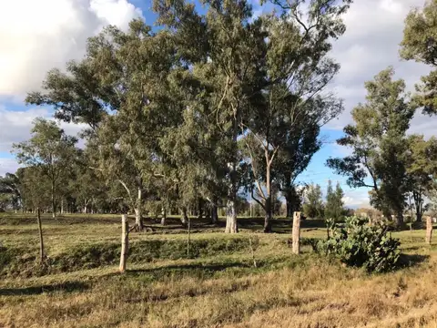 Terreno en Venta en Ingeniero Maschwitz, Partido de Escobar