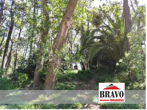 Terreno en Venta en Mar Azul, Partido de Villa Gesell