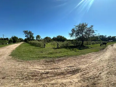Terreno en Venta en Villa Lia, Partido de San Antonio de Areco