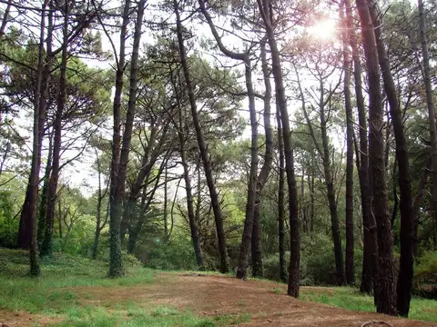 Terreno en Venta en Villa Gesell, Partido de Villa Gesell