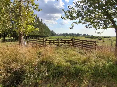 Terreno en Venta en Estancia Las Malvinas, Countries y Barrios Cerrados en Coronel Brandsen