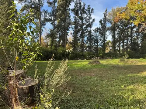 Terreno en Venta en Los Pinos, Exaltacion de la Cruz