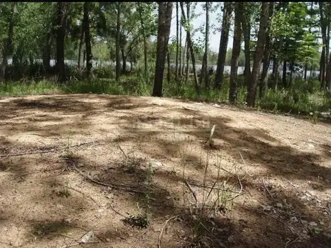 Terreno en Venta en Zona Delta San Fernando, Partido de San Fernando