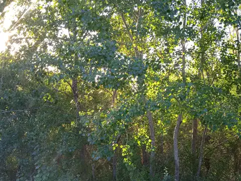 Terreno en Venta en Las Gaviotas, Mar Azul