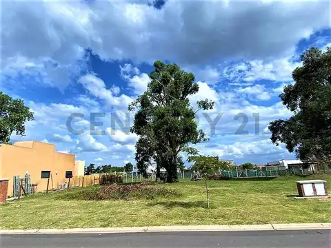Terreno en Venta en Pilar del Este - San Ramon, Countries y Barrios Cerrados en Pilar