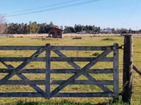 Terreno en Venta en Gomez, Partido de Brandsen