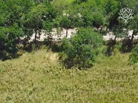 Terreno en Venta en El Remanso, Countries y Barrios Cerrados en Exaltacion de la Cruz