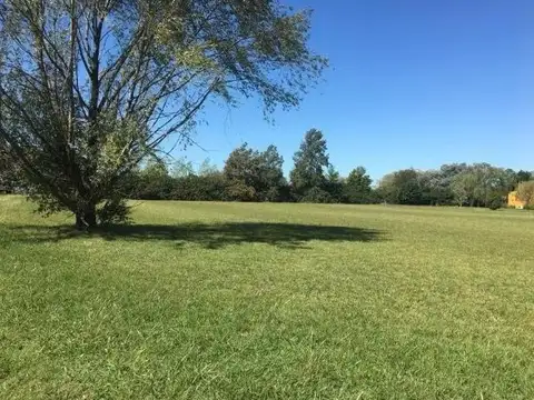 Terreno en Venta en La Ranita, Manzanares