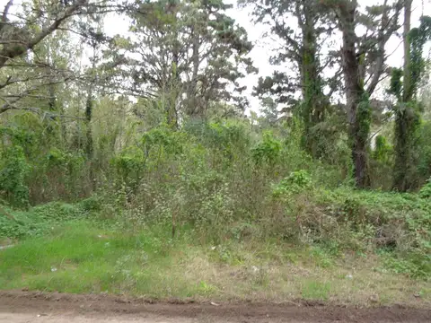 Terreno en Venta en Mar Azul, Partido de Villa Gesell